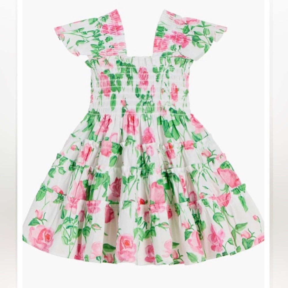 Hill House Tiny Ellie Nap Dress Poplin Rose NWT